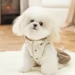 Heart Print Pet Dress - Warm Teddy Cotton Hoodie for Pets