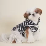 Striped Puppy Hooded Sweatshirt for Small Dogs