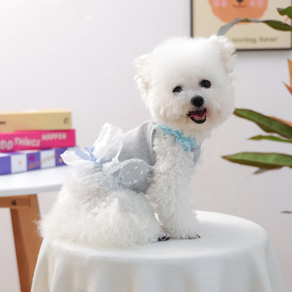 Breathable Lace Mesh Vest for Small Dogs and Cats