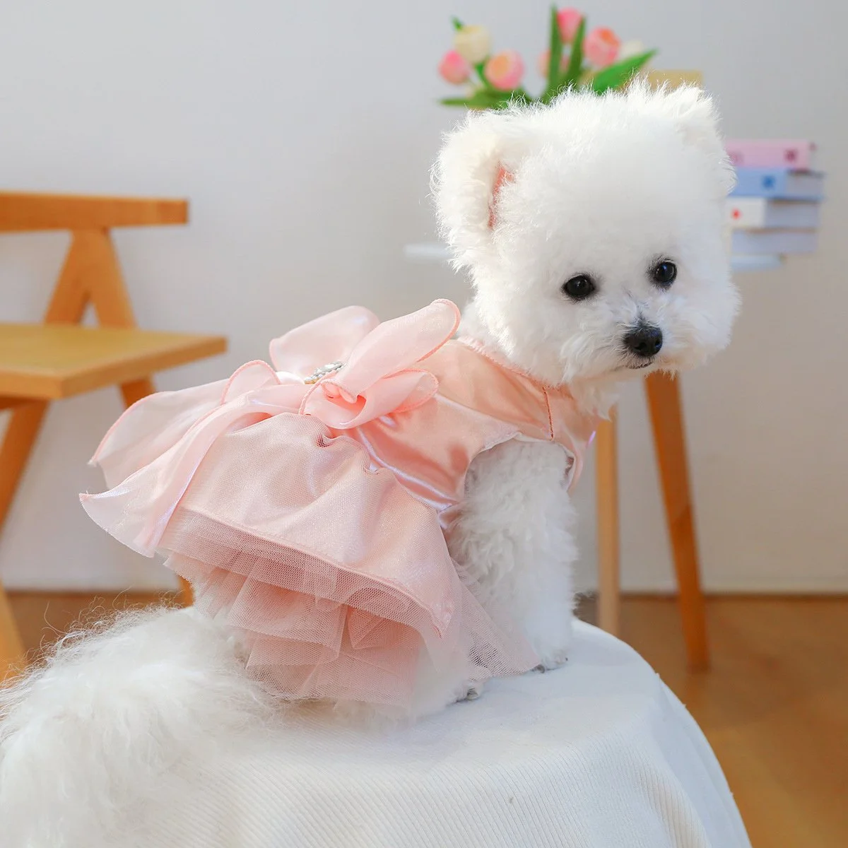 Spring & Summer Tulle Dog Dress