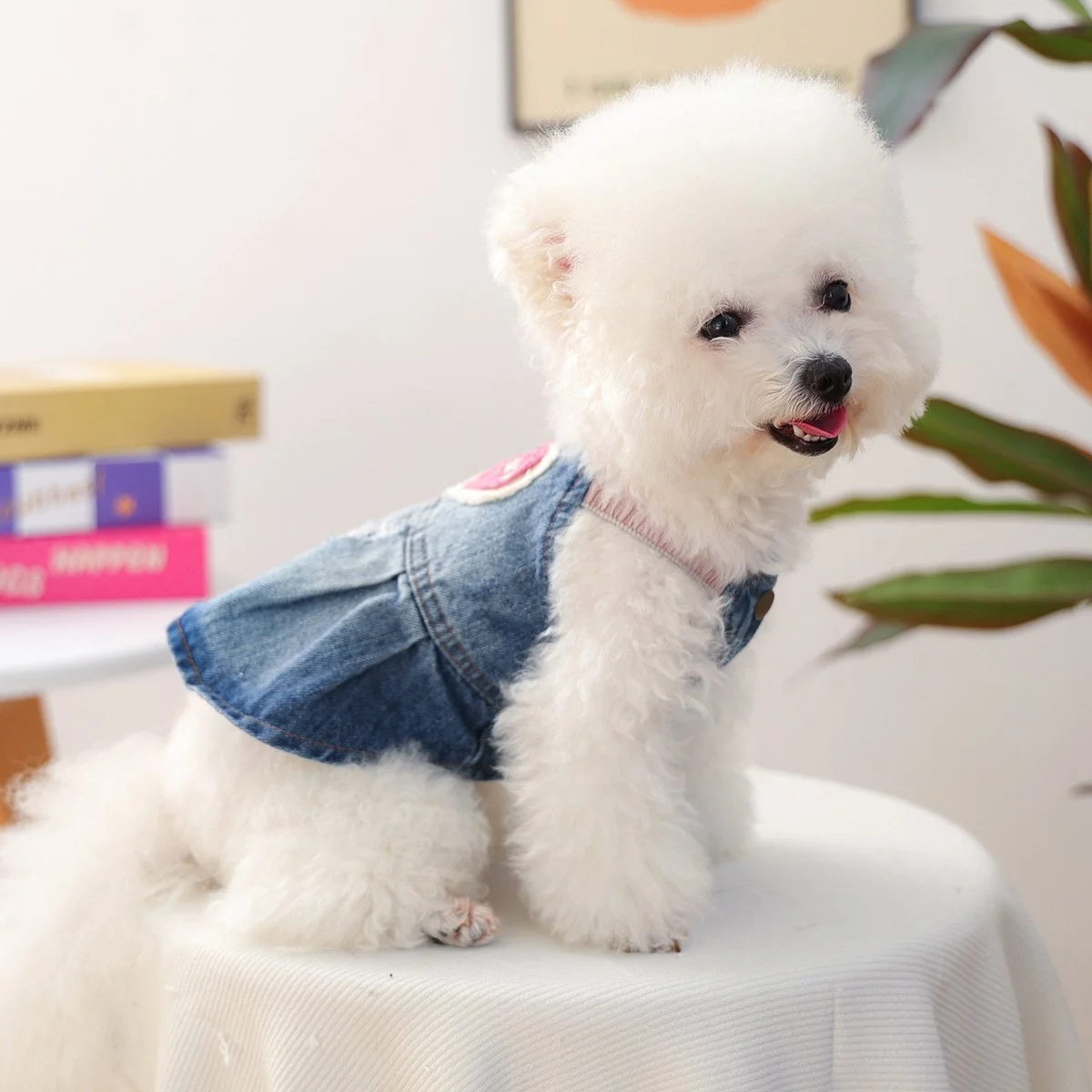 Pet Lover Denim Outfit with Harness for Small Dogs