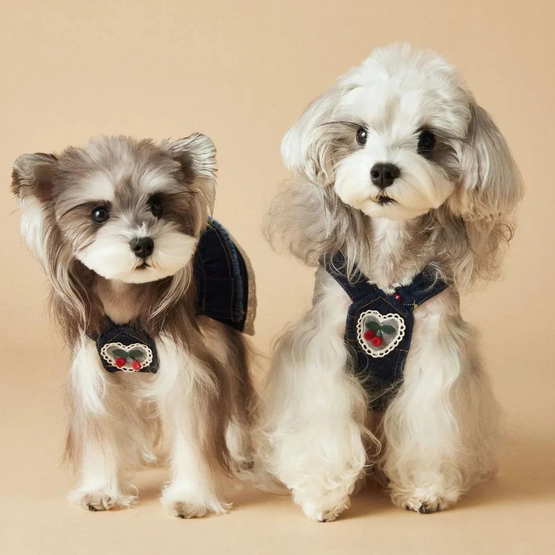 Cherry Denim Suspender Dress for Small Dogs