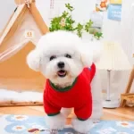 Color Block Two-Leg Pet Coat with Back Opening for Small Dogs