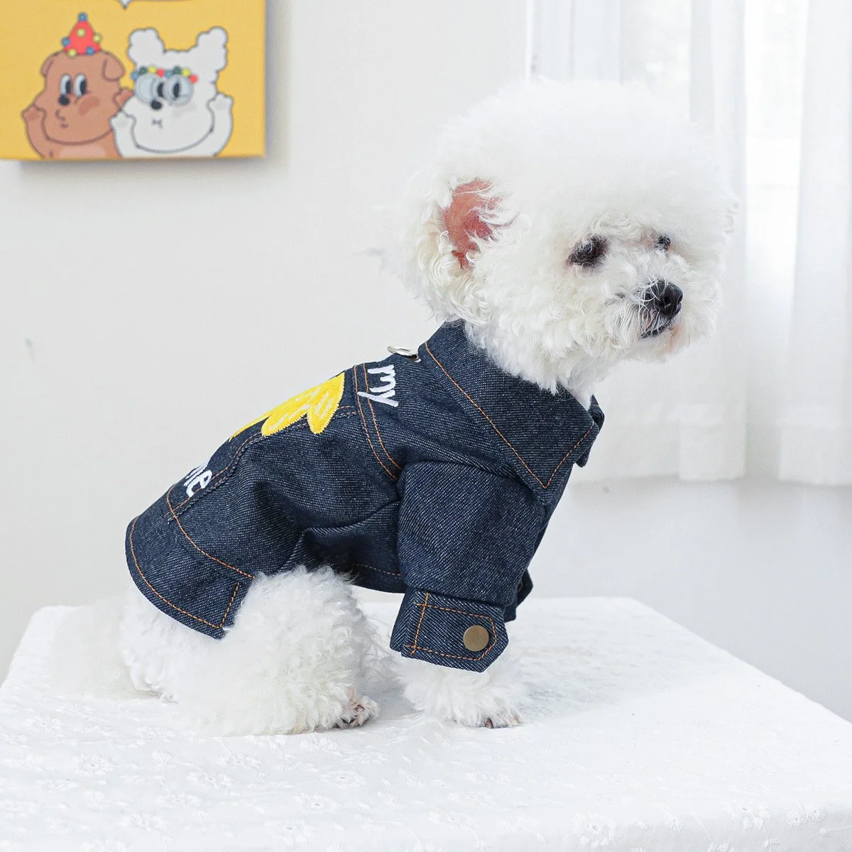 Embroidered Denim Dog Jacket Harness for Small Breeds