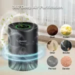 H13 True HEPA Air Purifier for Home - Eliminates Smoke, Dust, Pollen, Odors & PM2.5