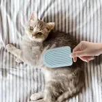 Cat Tongue Ice Cream Massage Comb