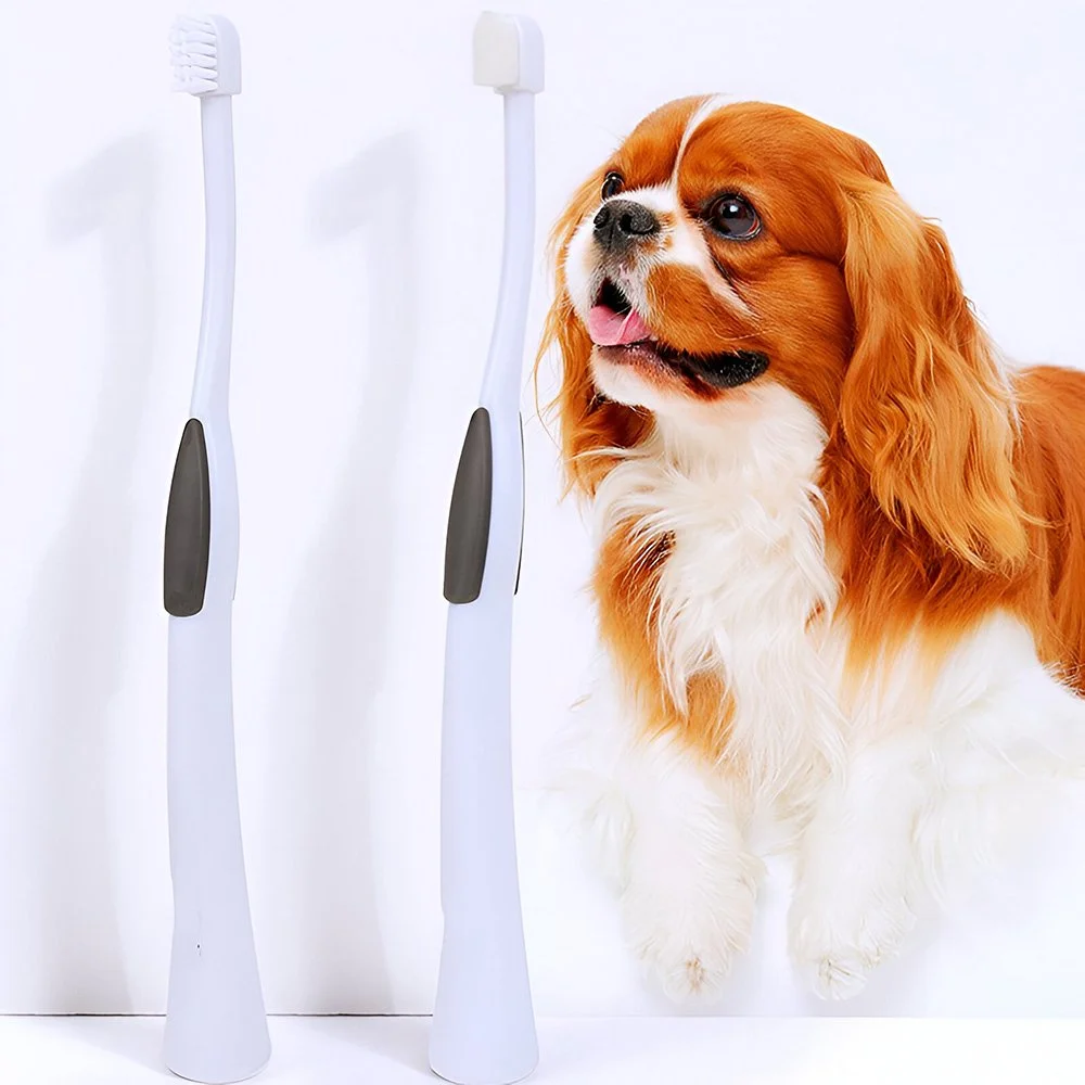 Soft Bristle Pet Toothbrush for Dogs & Cats - Small Head Oral Care Brush