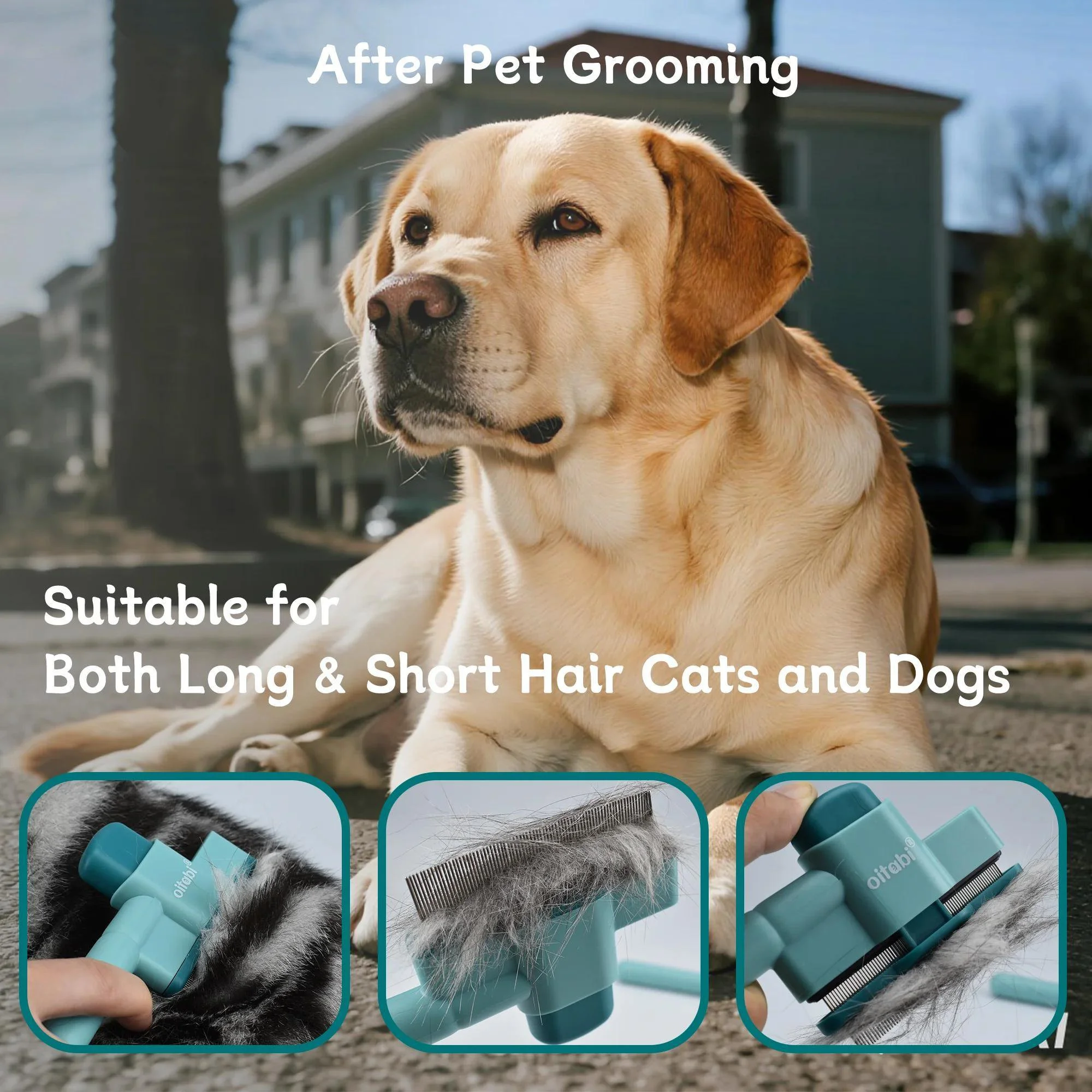 Flea Comb for Dogs and Cats with Self-Cleaning Button