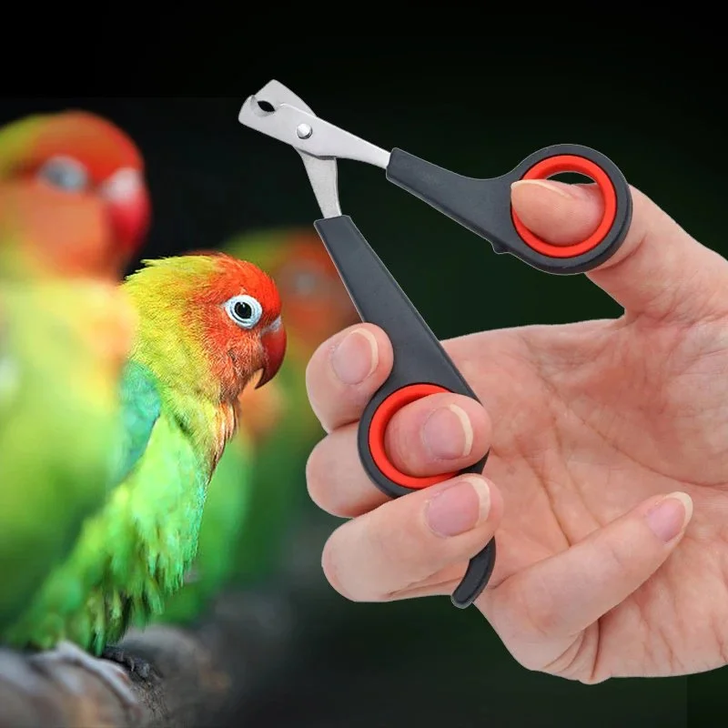Pet Nail Clippers & Trimmer Scissors for Dogs, Cats, Birds, and Small Animals