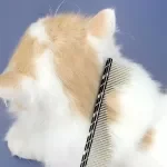 Professional Pet Dematting Comb with Dual Teeth for Dogs & Cats