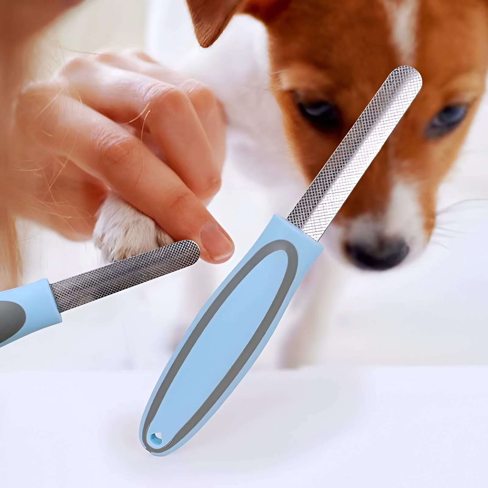 Dog Nail Grinder Stainless Steel Claw Trimmer with Soft Handle