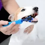 3-Head Pet Toothbrush for Dogs & Cats – Easy Finger Dental Care Tool