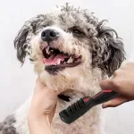 Professional Pet Dematting Comb for Dogs & Cats