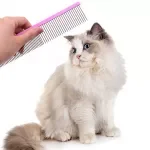 Stainless Steel Dog Comb - Double Teeth Pet Grooming Brush for Dogs and Cats