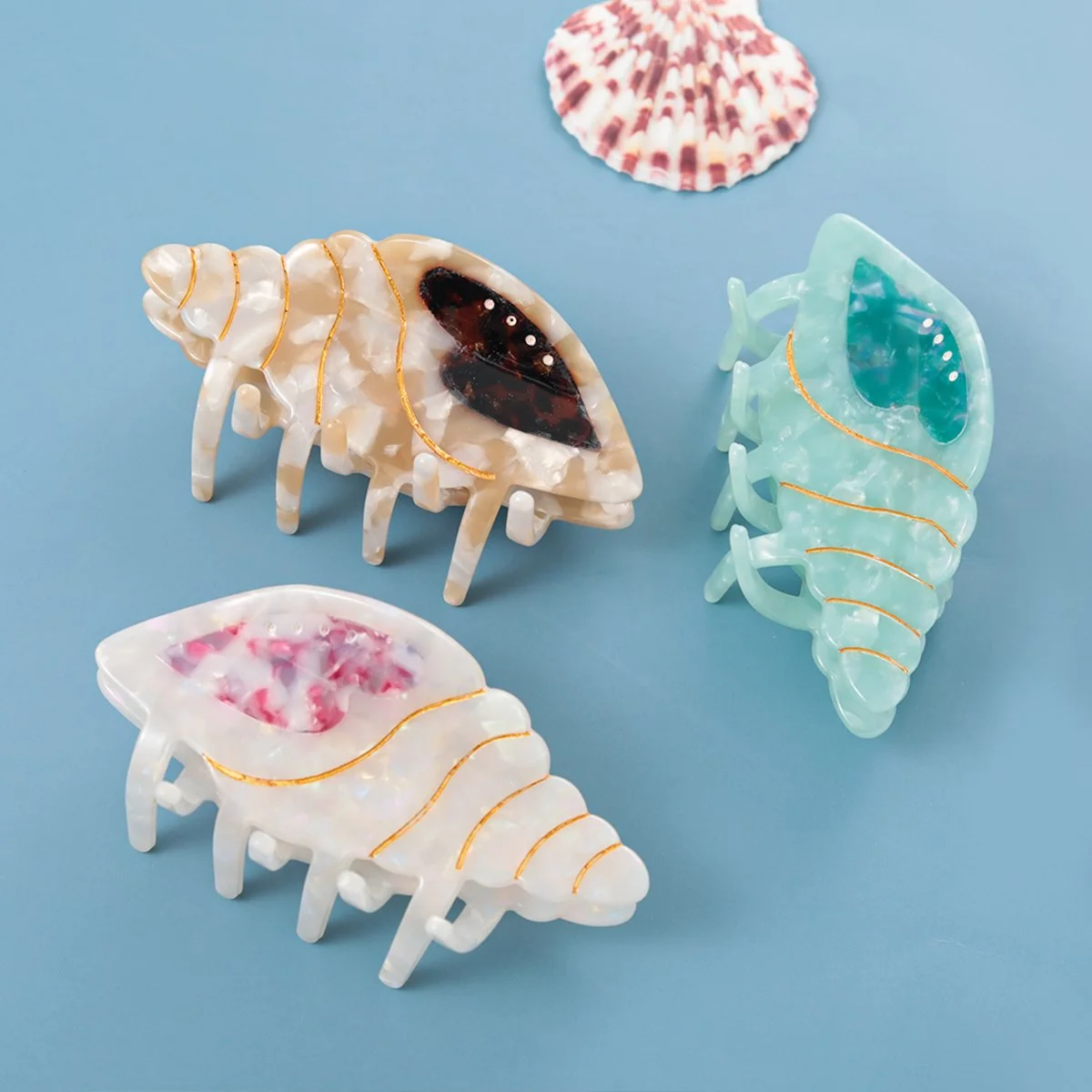 Elegant Conch Acetate Hair Clip – Stylish Geometric Grip