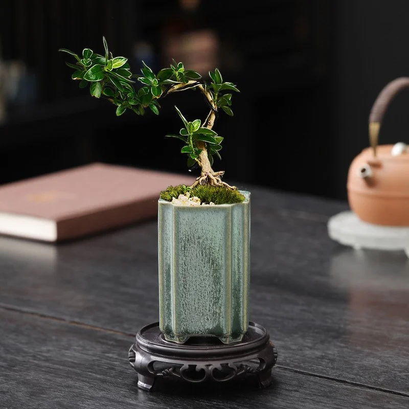 Square Celadon Glazed Porcelain Bonsai & Orchid Flower Pot