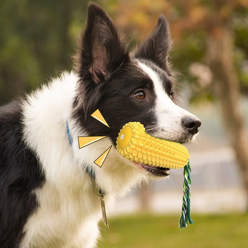 Puppy Squeaky Corn Chew Toy with Rope
