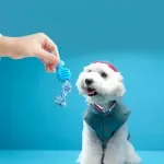 Durable Cotton Rope Dog Toy Ball – Double Knot for Chewing & Teeth Cleaning
