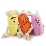 Squeaky Dog Chew Toy for Aggressive Chewers & Teething Puppies