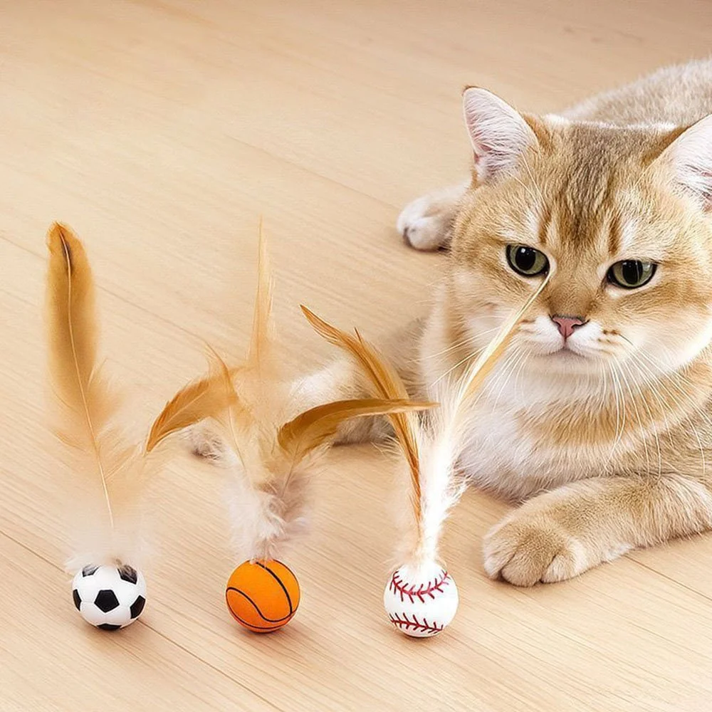 Interactive Cat Teaser Wand with Feather and Elastic Ball Toy