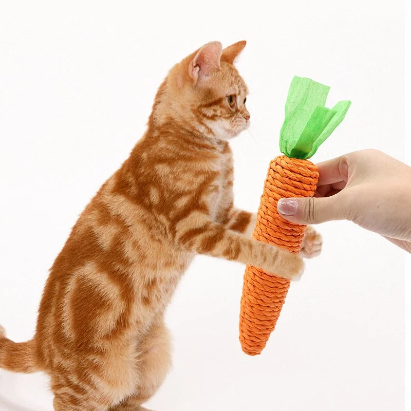 Interactive Squeaky Carrot Chew Toy for Cats and Dogs – Sisal Rope Pet Toy