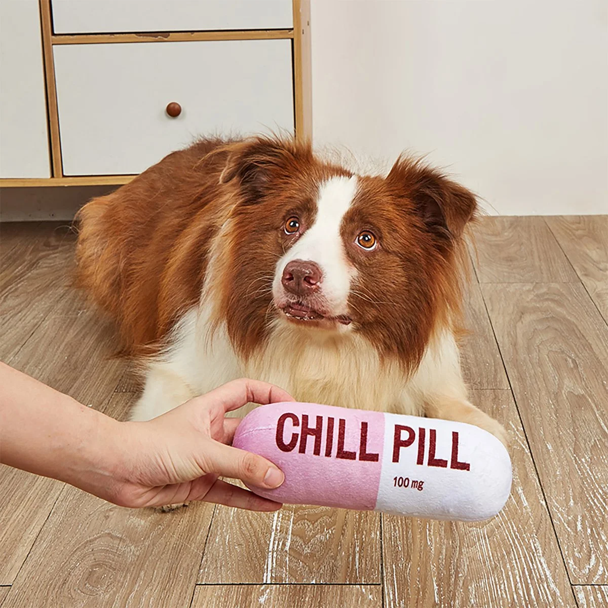 Interactive Plush Squeaky Dog Toy – Durable, Bite-Resistant Chew for Play & Dental Health