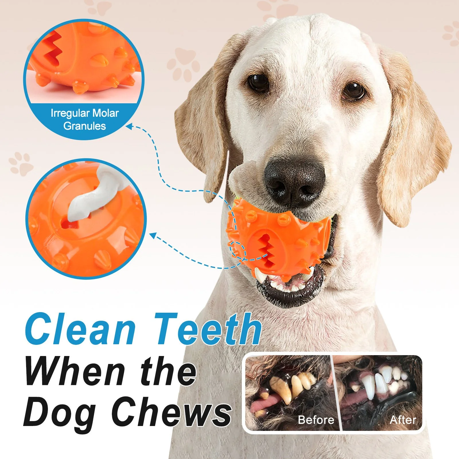 Interactive Dog Chew Treat Dispensing Ball – Bite-Resistant Play Toy