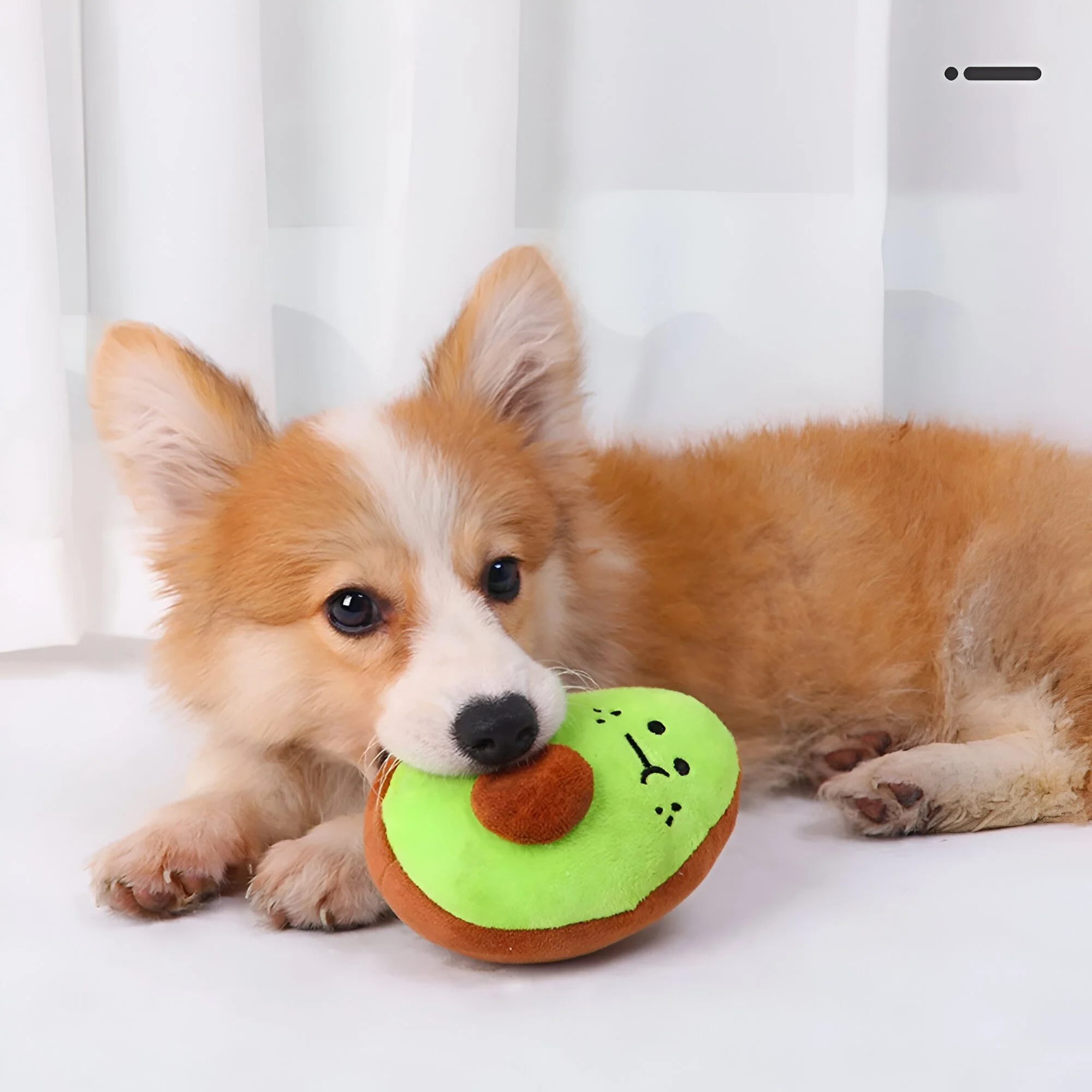 Soft Plush Dog Chew Toy - Bite Resistant Pet Plush Toy