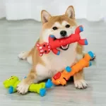 Durable Squeaky Dog Toy - Chew Resistant and Dental Cleaning