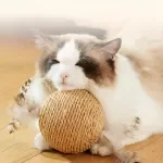 Interactive Feather Ball Cat Toy for Fun and Engagement