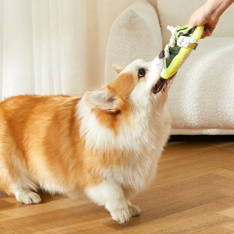 Durable Shoe-Shaped Dog Chew Toy with Rope – Squeaky & Bite-Resistant