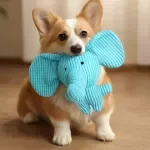 Funny Interactive Plush Squeaky Dog Toy – Bite Resistant Chew & Play Companion