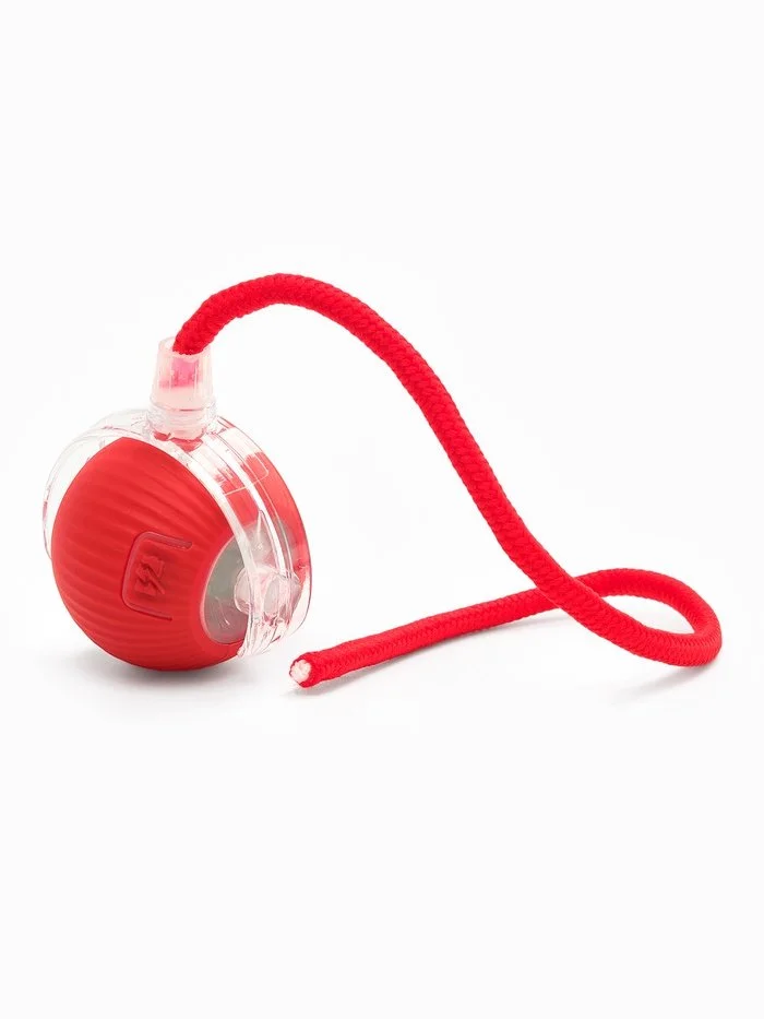 Electric Cat Ball Toy with Teaser Bird - Interactive Rechargeable Smart Pet Toy