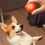 Smart Moving & Bouncing Dog Toy Ball – USB Rechargeable Interactive Fun