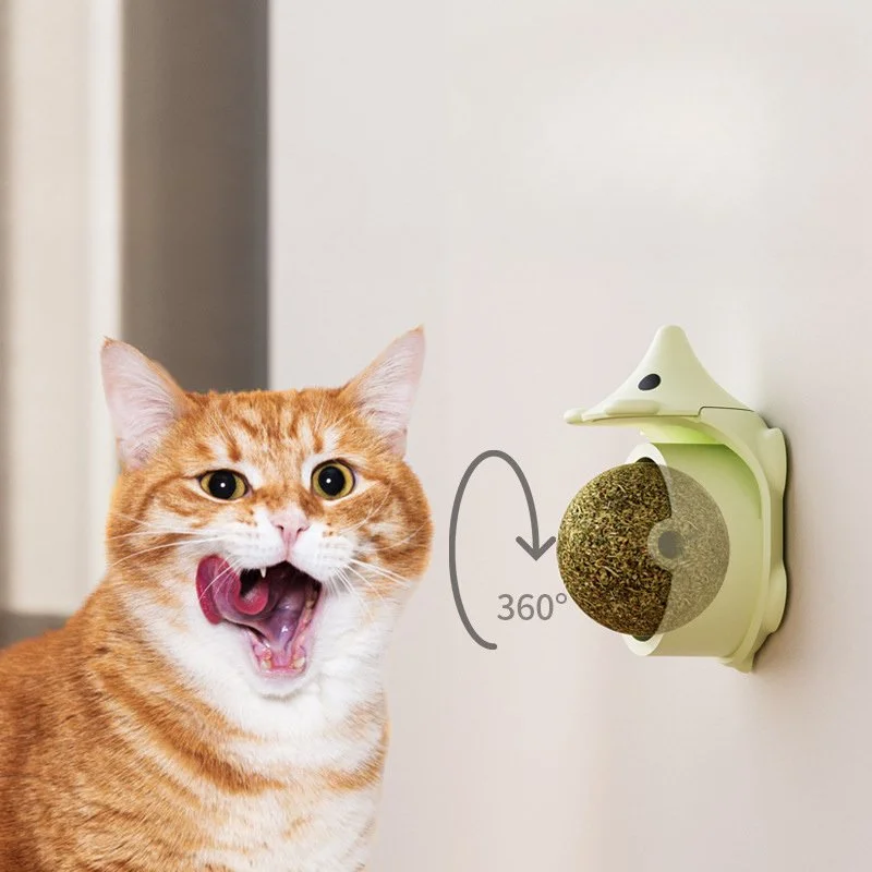 Lickable Catnip Ball Toys - Dental Chew Snacks for Cats & Kittens
