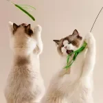 Interactive Feather Cat Teaser Wand with Bite-Resistant Tail Grass