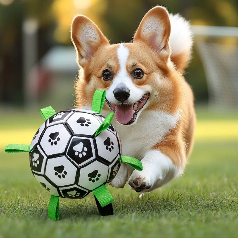 Durable Dog Football Toy Ball for Outdoor Play & Teeth Cleaning