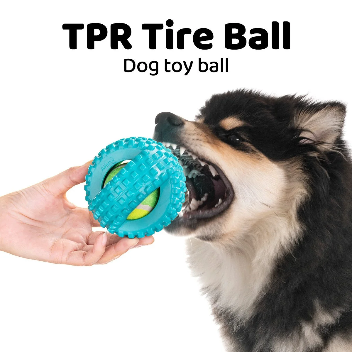 Durable Mini Tire Dog Chew & Training Ball Toy