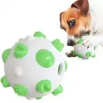 Durable Dog Chew Toy & Toothbrush – Spherical Molar Stick