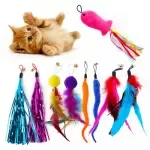 9-Pack Colorful Feather Cat Wand Toy Set – Interactive Playtime Fun