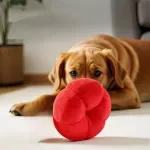 Plush Red Persimmon Squeaky Toy for Cats & Dogs – Chewable Interactive Play