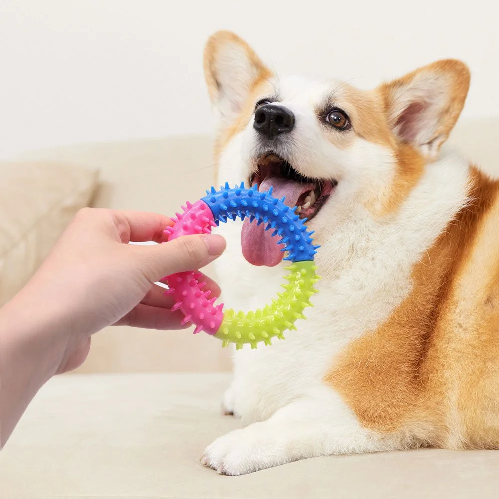 Durable 3-Color Spiked Ring Dog Toy