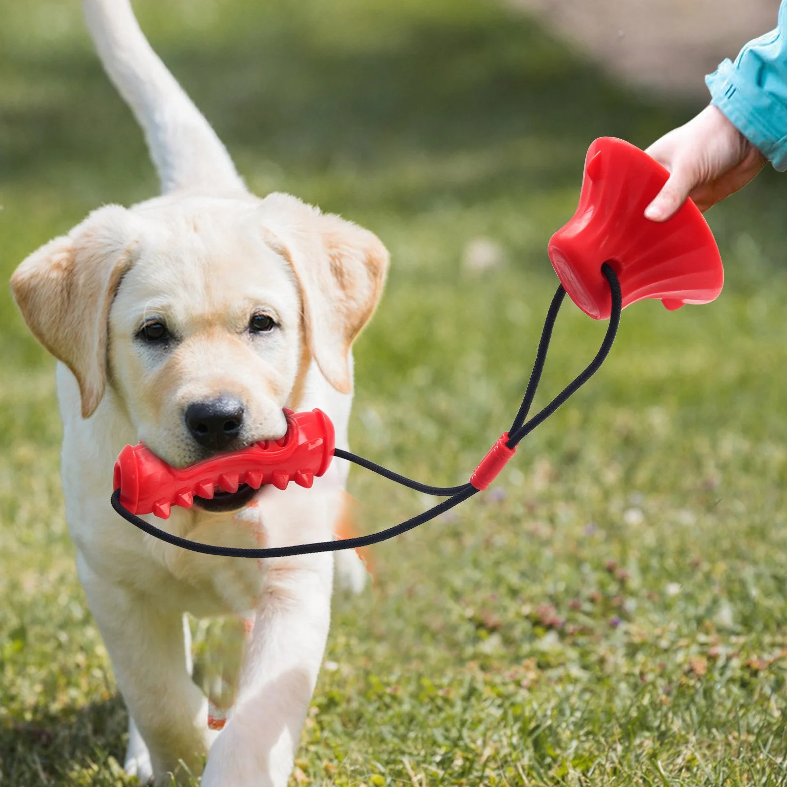 Durable Dog Chew Toy with Suction Cup for Medium & Large Dogs