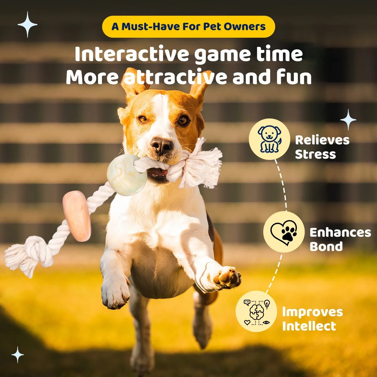 Interactive Dog Toy