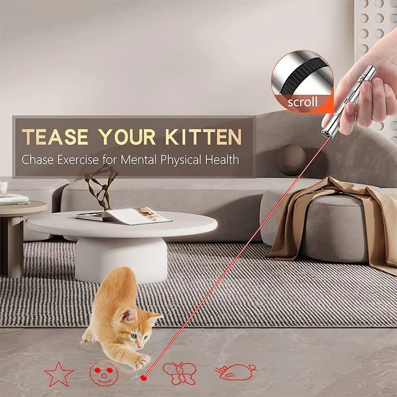 3-in-1 Rechargeable Cat Laser Pointer Toy with LED Flashlight