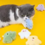 Interactive Catnip Plush Toy for Teeth Grinding & Play