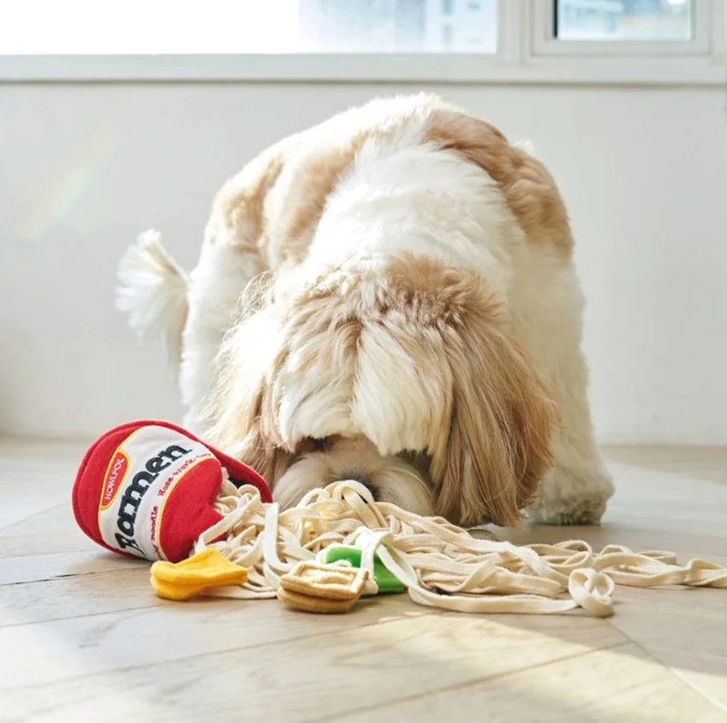 Durable Rope and Ball Dog Toy - Fun Teething Toy for Active Dogs