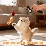 Retractable Cat Feather Teaser Wand – Extendable Interactive Play Toy for Cats