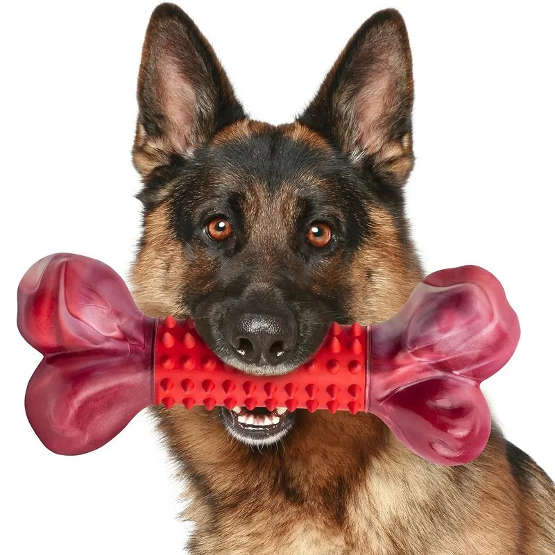 Durable Nylon Rubber Bone Chew Toy for Dogs - Teething & Dental Care, Non-Toxic