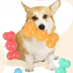 Durable Squeaky Dog Bone Toy - Rubber Chew for Dental Health & Fun